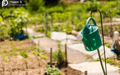 Orti Urbani: la Soluzione per Cibo Sano e Città Più Verdi?